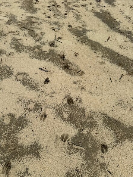 More Photos Of Lost River Rd, Seminole Land For Sale