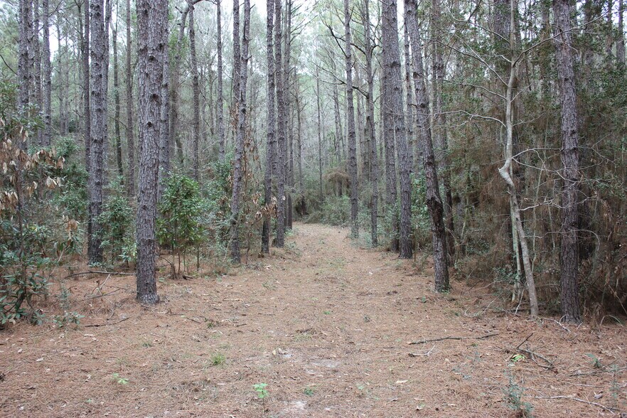 More Photos Of 16046 Honea Rd W, Montgomery Land For Sale