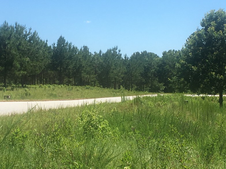 More Photos Of River Ridge Ln, Silverstreet Land For Sale