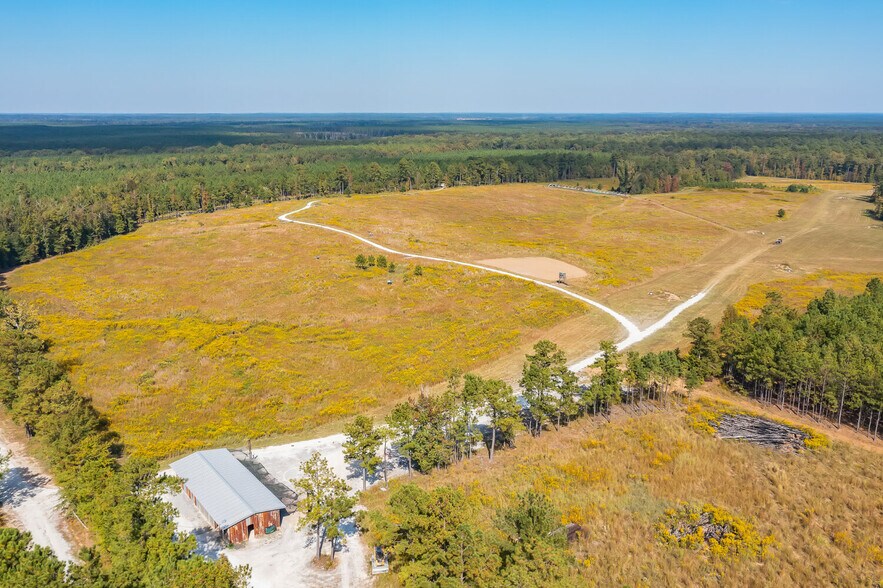 More Photos Of 18618 Hwy 43, Linden Land For Sale