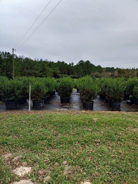 More Photos Of 224 Co Rd 096, Jasper Land For Sale