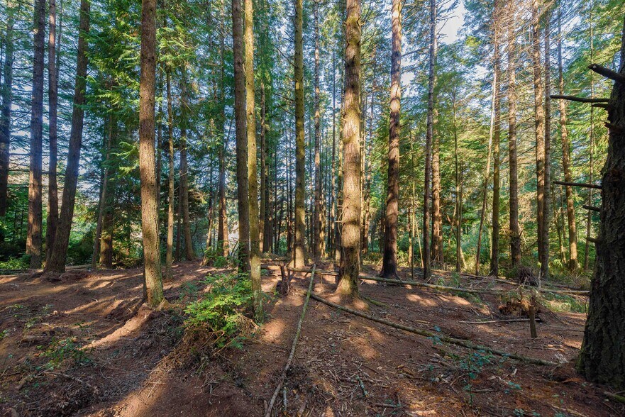 More Photos Of 0 Newmark ave, North Bend Land For Sale