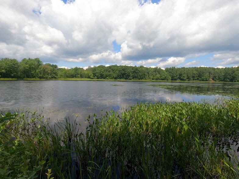 Primary Photo Of ,  Land For Sale