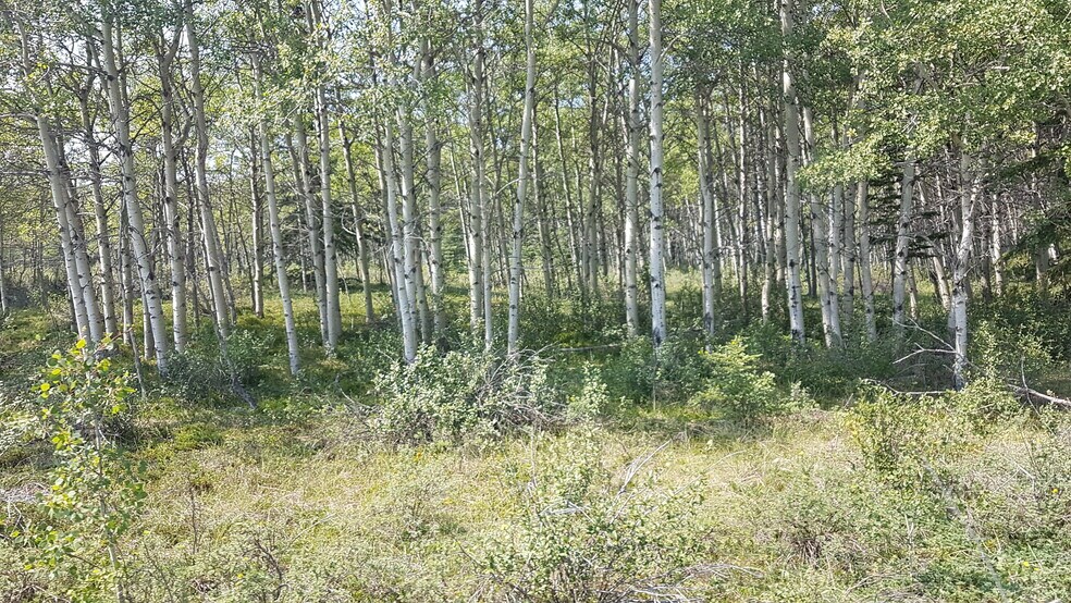 More Photos Of 1 Bow River, Rocky View No 44 Land For Sale