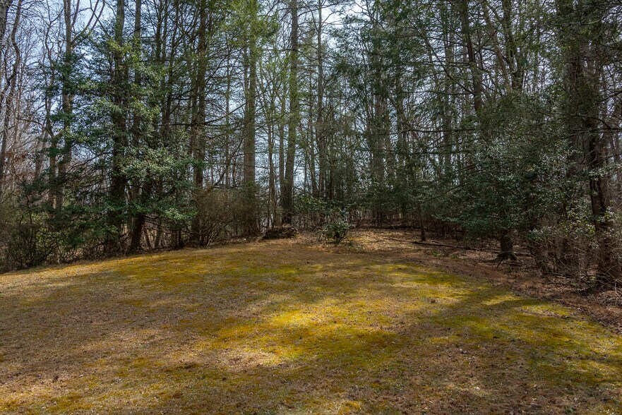 More Photos Of 1720 Brevard Rd, Arden Land For Sale