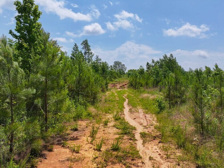 More Photos Of 0 State Route 22a, Enville Land For Sale