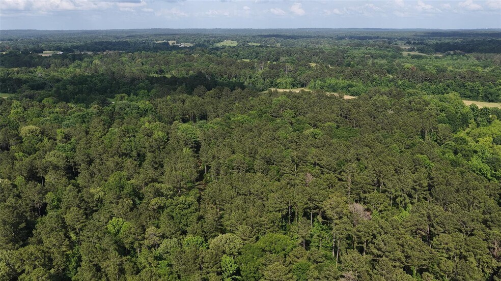 More Photos Of 447 County Road 2211 S, Rusk Land For Sale