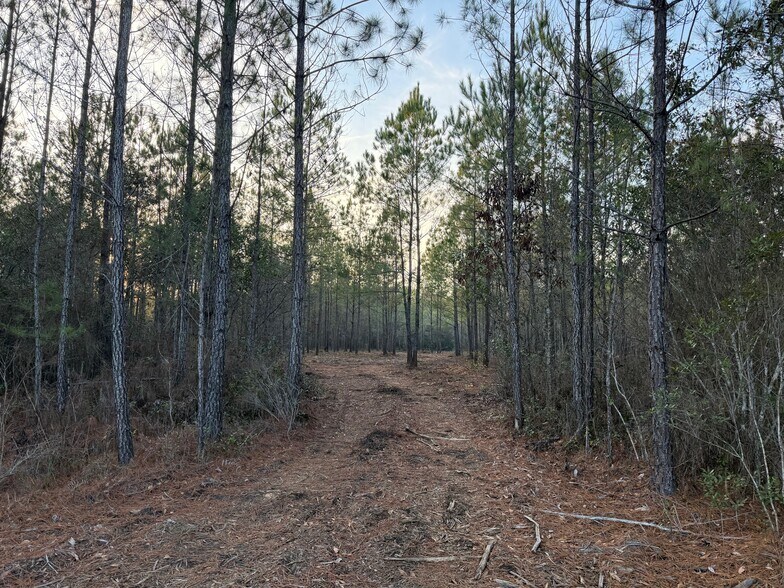 More Photos Of 319 - 547 Sisters Ferry Road, Ridgeland Land For Sale