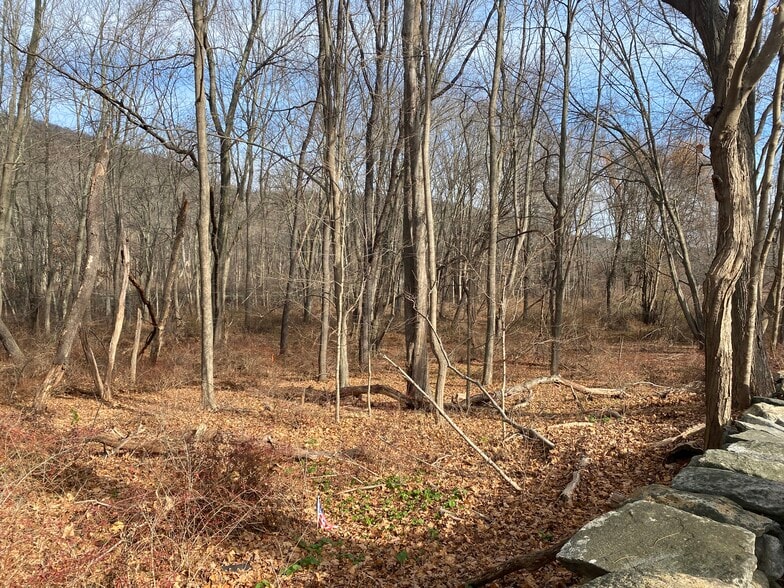 Primary Photo Of 3918 Danbury, Brewster Village Land For Sale