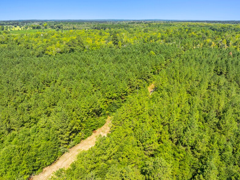 More Photos Of 7471 Highway 155, Saline Land For Sale