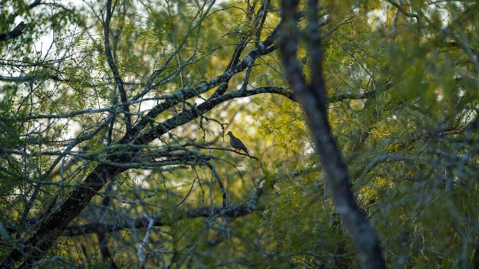 More Photos Of 879 County Road 421, Gonzales Land For Sale