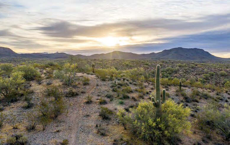 More Photos Of Blue Tank Rd, Wickenburg Specialty For Sale