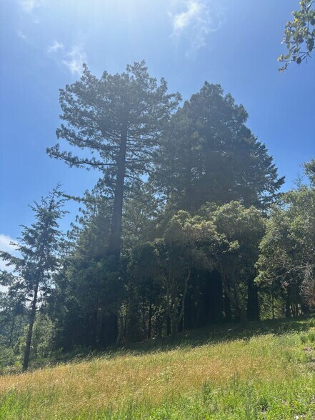 More Photos Of 21380 Siri rd, Guerneville Land For Sale