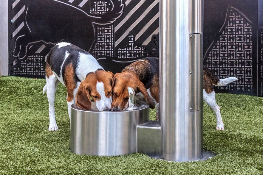 More Photos Of 7420 N Rea Park Ln, Charlotte Apartments For Lease