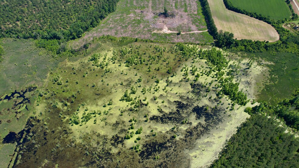 More Photos Of , Reevesville Land For Sale