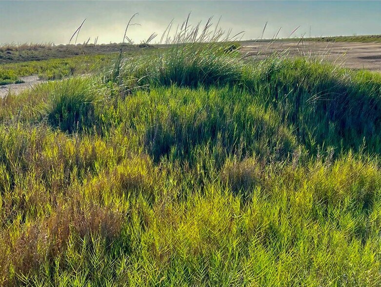 More Photos Of 1751 FM 1781, Rockport Land For Sale