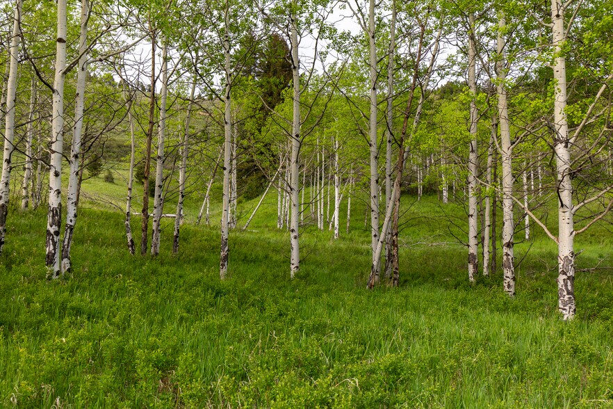More Photos Of 3 Trail Creek Rd, Bozeman Land For Sale