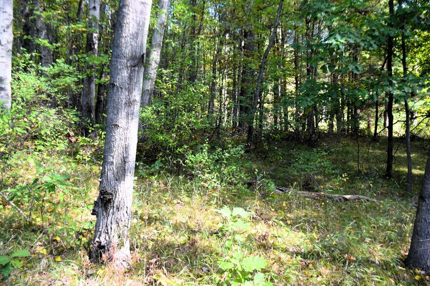 More Photos Of 8568 Ludington Dr, Lake Land For Sale