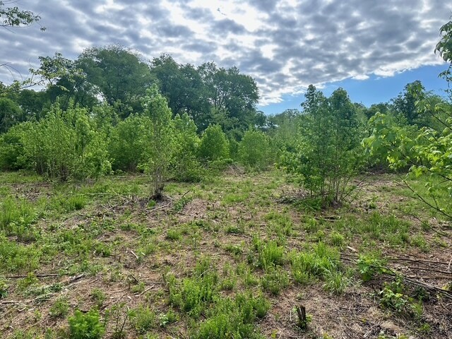 More Photos Of Satcher Road #4 Rd, Taylorsville Land For Sale