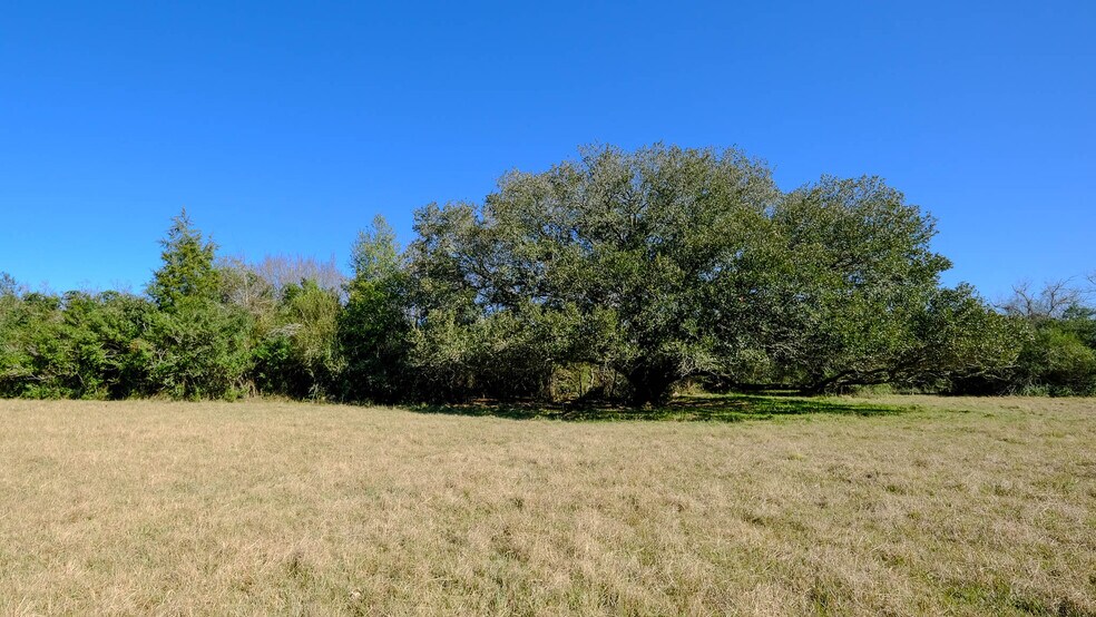 More Photos Of 26266 Fields Store Rd., Waller Land For Sale