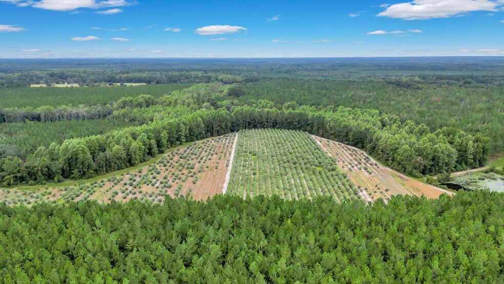 More Photos Of 2437 GA Highway 121, Glennville Land For Sale