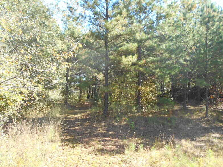 More Photos Of 1230 Good Hope Rd, Monroe Land For Sale