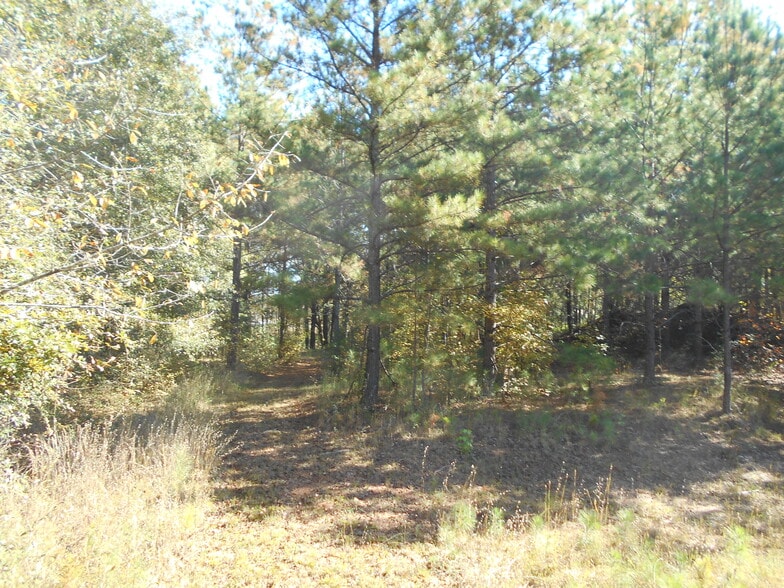 More Photos Of 1230 Good Hope Rd, Monroe Land For Sale