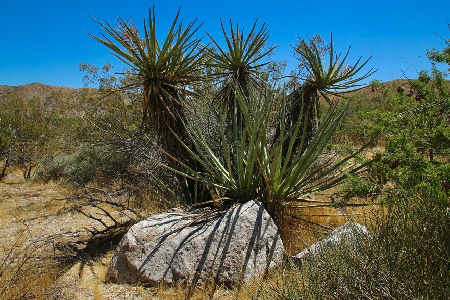 More Photos Of 0 Pioneer Rd, Morongo Valley Land For Sale