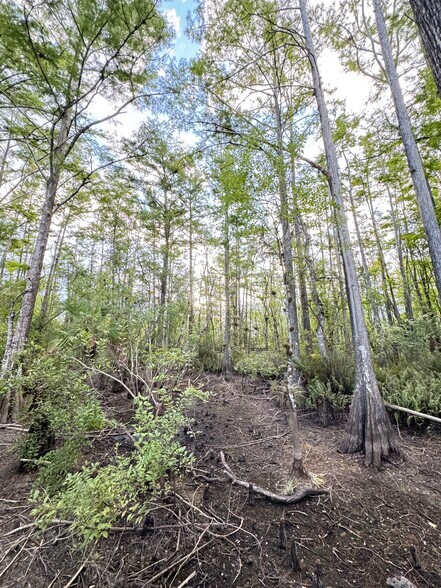 More Photos Of 10581 Ben C Pratt 6 Mile Cypress Pkwy, Fort Myers Land For Sale