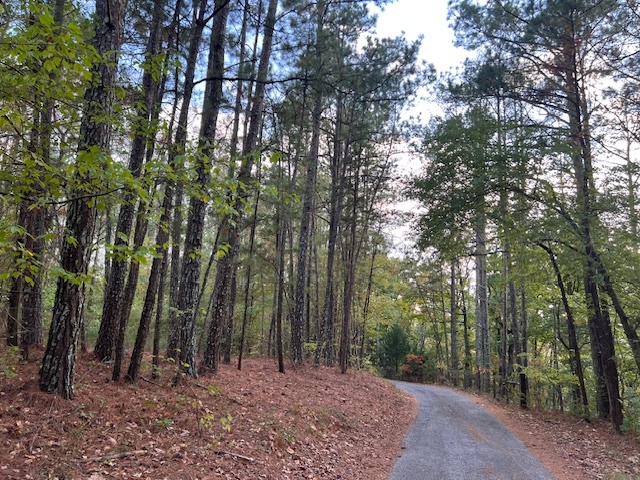 Primary Photo Of 100 Valley View Farm Rd SW, Cartersville Land For Sale