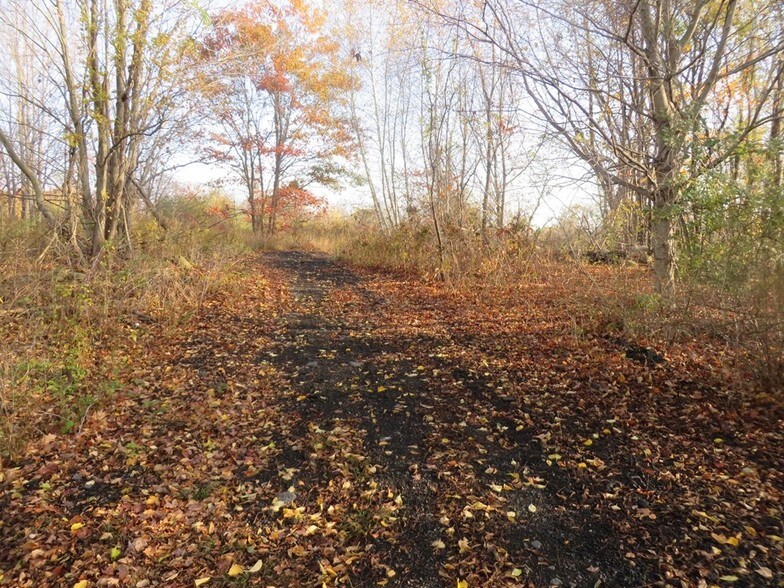 More Photos Of 0 Andrew Mountain Rd, Naugatuck Land For Sale