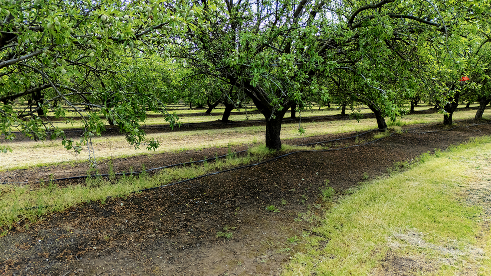 More Photos Of 19683 Avenue 23 1/2, Chowchilla Land For Sale