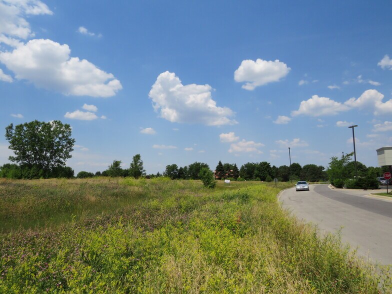 More Photos Of Weber Rd & Carillon Dr, Romeoville Land For Sale