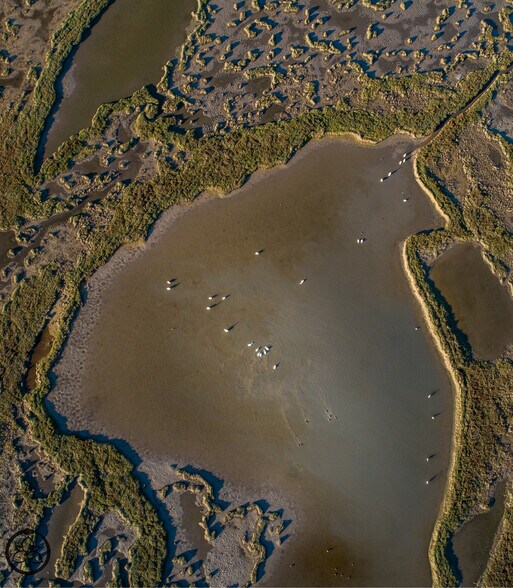 More Photos Of 1751 FM 1781, Rockport Land For Sale