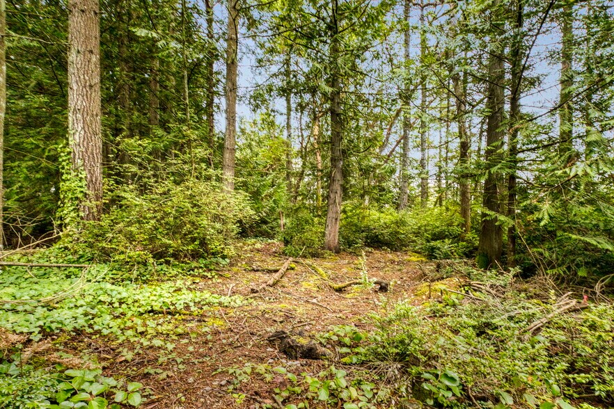 More Photos Of 00 Dickey Rd, Silverdale Land For Sale