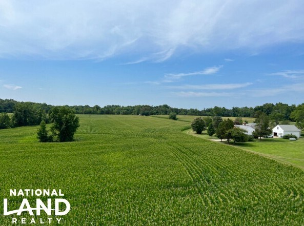 More Photos Of 5259 Ladysmith Rd, Ruther Glen Land For Sale