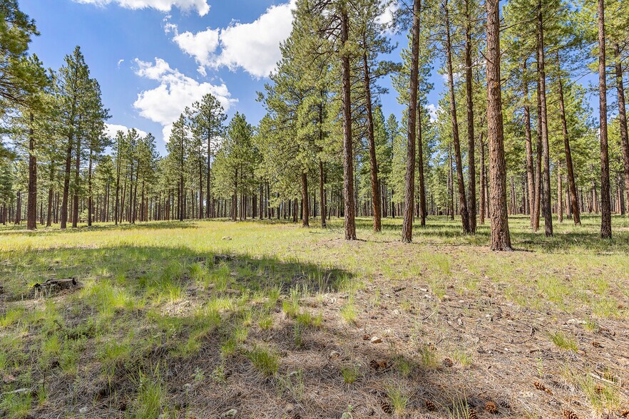 More Photos Of 2251 Kramer St, Flagstaff Land For Sale