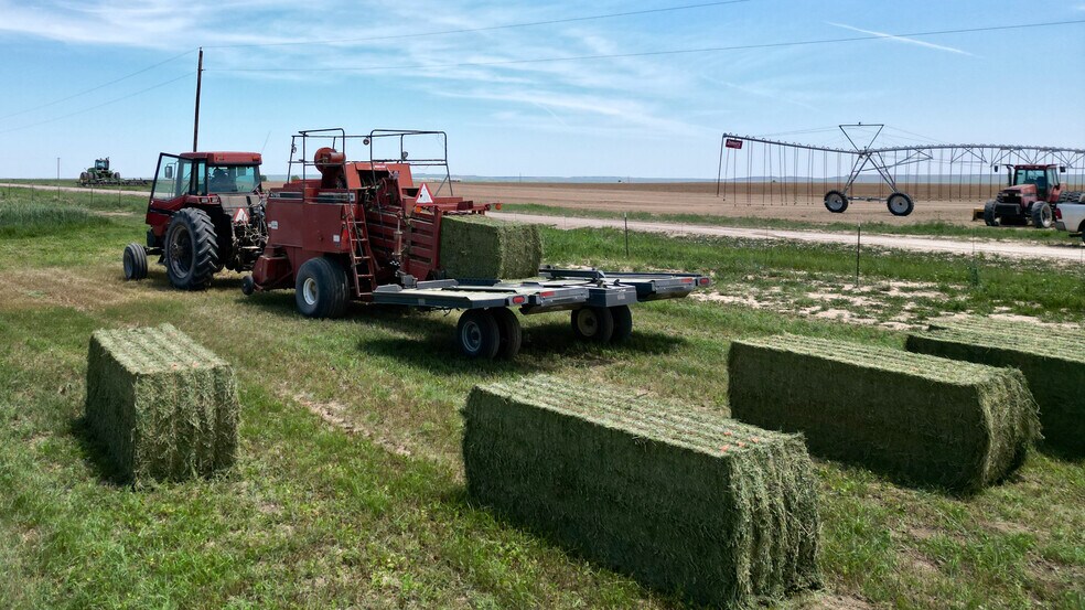 More Photos Of 48999 County Road 48, Model Land For Sale