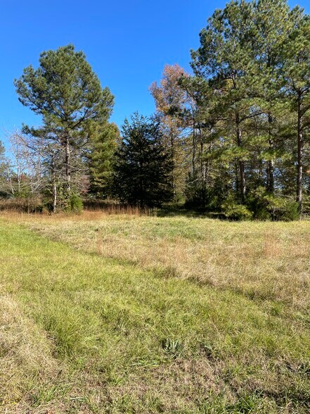 More Photos Of 173 Mill Creek Ln, McCormick Land For Sale