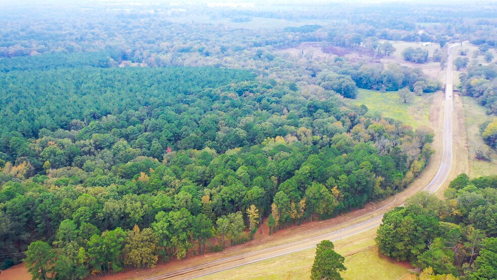 More Photos Of 5015 FM 561, Simms Land For Sale