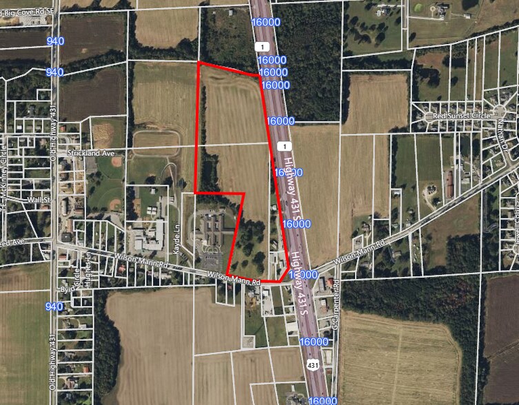More Photos Of 8924 Highway 431 South, Owens Cross Roads Land For Sale