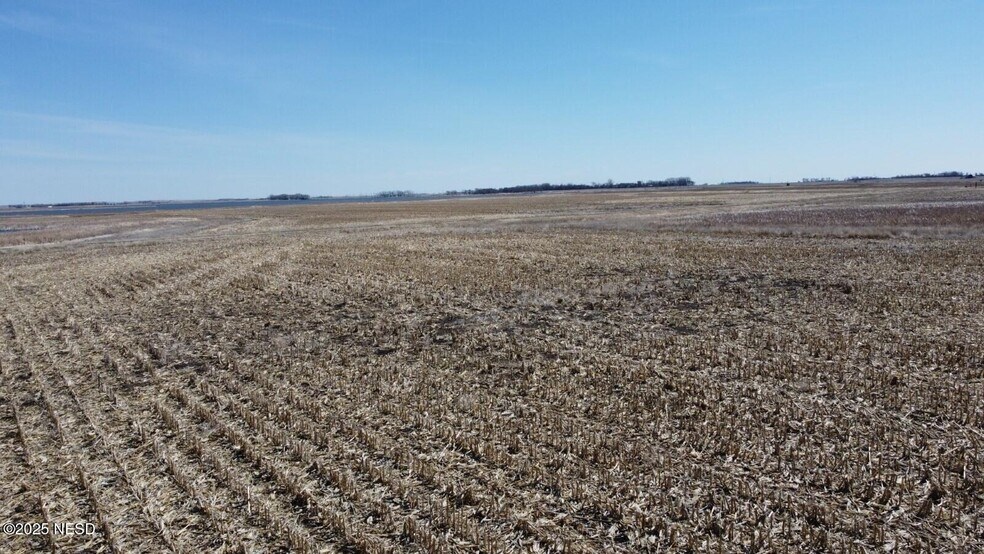 More Photos Of 0 441st Ave, Webster Land For Sale