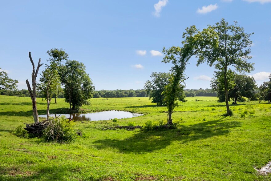 More Photos Of 18121 TX-105, Plantersville Land For Sale