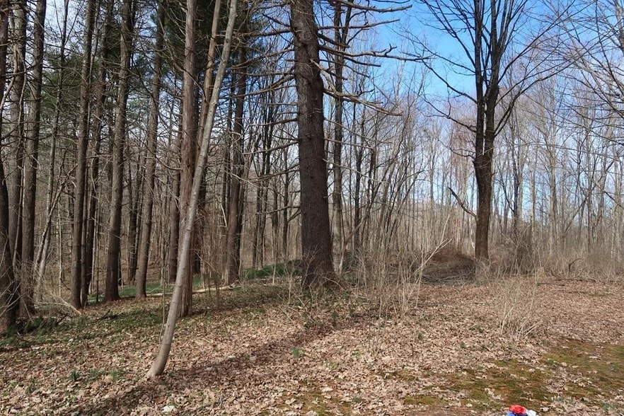 More Photos Of 38 College Hwy, Southampton Land For Sale