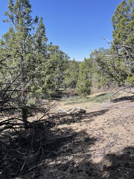 More Photos Of East Highway 89, Indianola Land For Sale