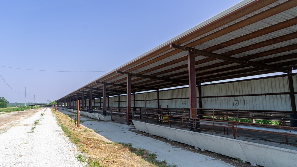 More Photos Of 24593 McGruder Creek Rd, Leon Land For Sale