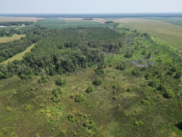 Primary Photo Of Highway 82 E, Mist Land For Sale