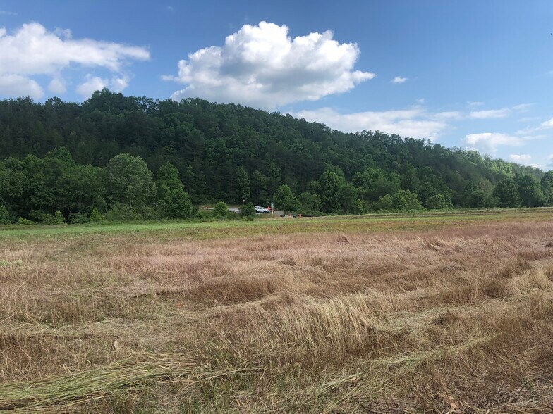 More Photos Of Ridgewood Dr, Blue Ridge Land For Sale