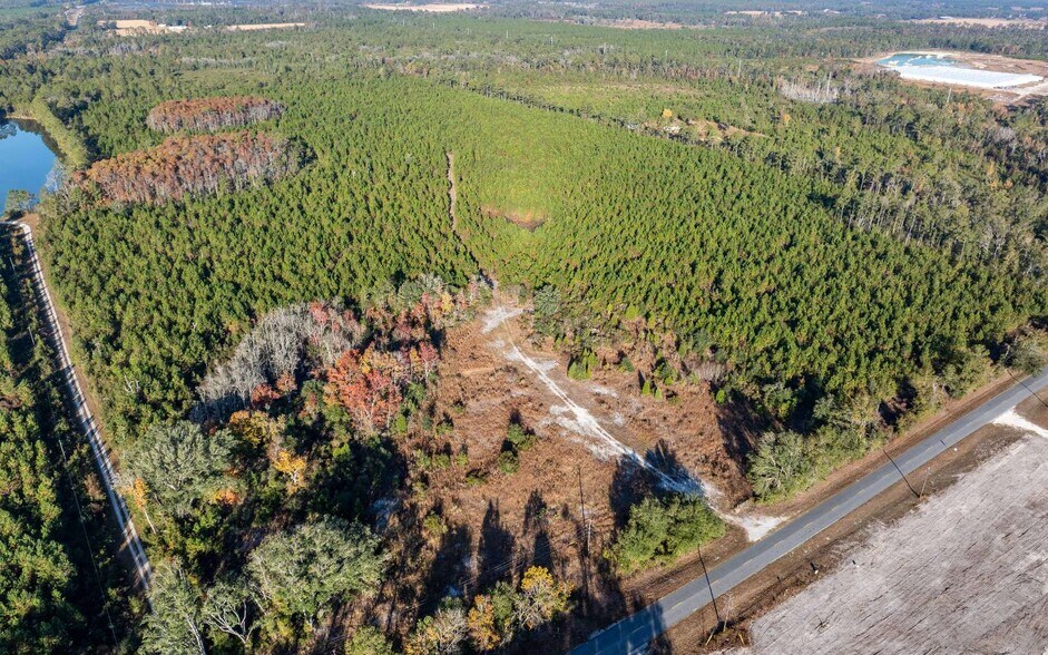 More Photos Of CR 137, Wellborn Land For Sale