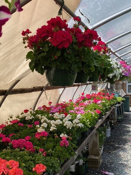 More Photos Of 398 W Main St, Groton General Retail For Sale